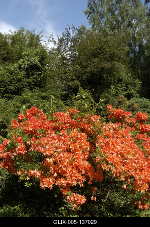 Szombathely, Kámoni Arborétum-stock-foto