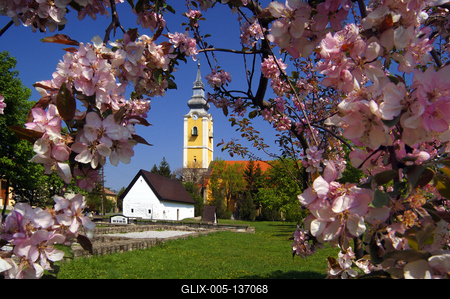 Pásztó, Oskolamester háza és a katolikus templom-stock-foto
