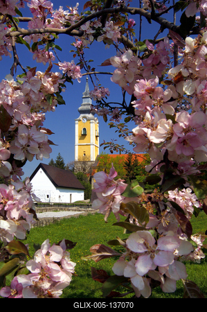 Pásztó, Oskolamester háza és a katolikus templom-stock-foto