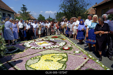 Virágszőnyeges úrnapi körmenet Csömörön-stock-foto
