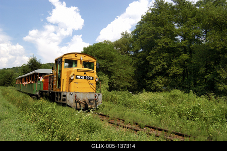 A Királyréti Erdei Vasút Kismaroson-stock-foto