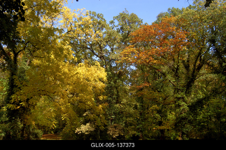 Vácrátót, Nemzeti Botanikus Kert (arborétum)-stock-foto