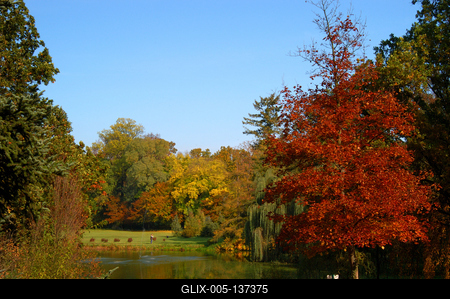 Vácrátót, Nemzeti Botanikus Kert (arborétum)-stock-foto