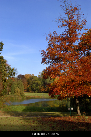 Vácrátót, Nemzeti Botanikus Kert (arborétum)-stock-foto
