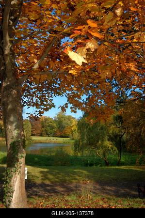 Vácrátót, Nemzeti Botanikus Kert (arborétum)-stock-foto