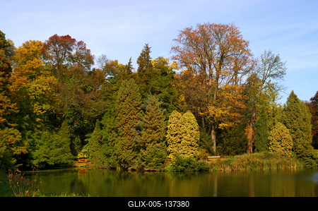 Vácrátót, Nemzeti Botanikus Kert (arborétum)-stock-foto