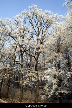 Eresztvény tanösvény-stock-foto