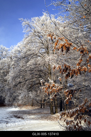 Eresztvény tanösvény-stock-foto