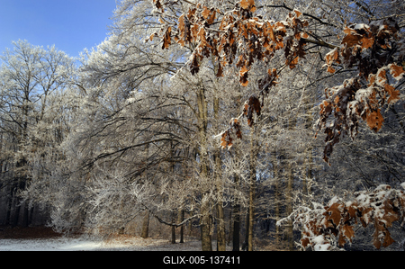 Eresztvény tanösvény-stock-foto