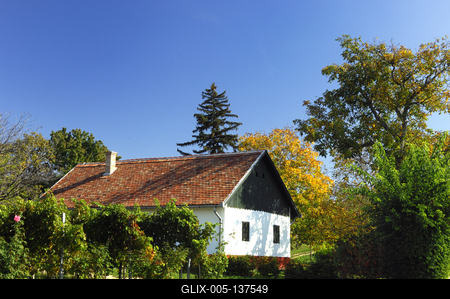 Présház a balatonlellei Kishegyen-stock-foto