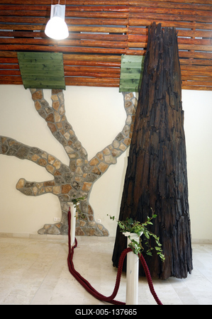 Ipolytarnóc, ősfenyő maradvány-stock-foto