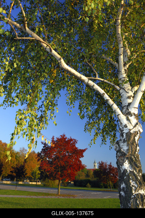 Vác, Duna-parti sétány-stock-foto