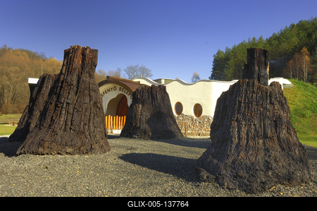 Ipolytarnóc, ősfenyő maradványok-stock-foto