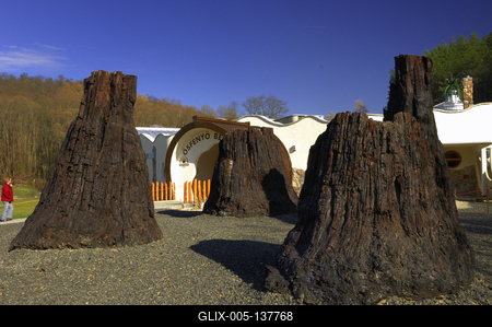 Ipolytarnóc, ősfenyő maradványok-stock-foto