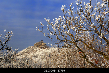 Téli tájkép Somoskő várával-stock-foto
