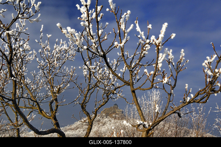 Téli tájkép Somoskő várával-stock-foto