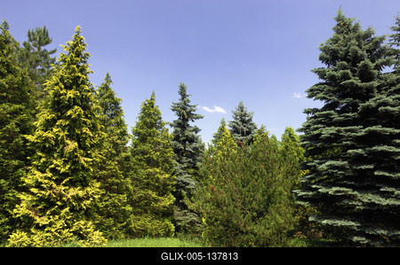 Bábolnai arborétum-stock-foto