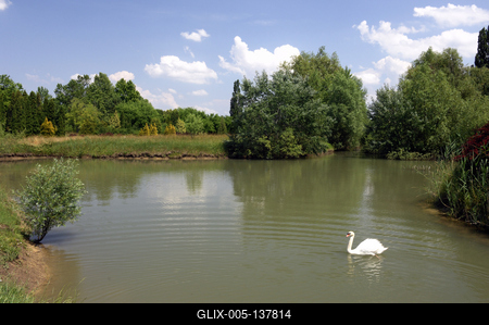 Bábolnai arborétum-stock-foto