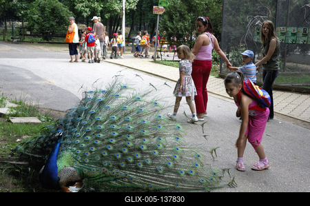 Nyíregyházi Állatpark (Sóstó ZOO)-stock-foto