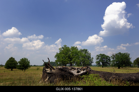 Túristvándi táj-stock-foto