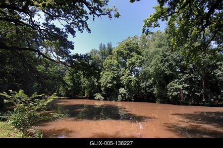 Sárvári arborétum-stock-foto