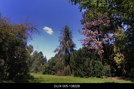 Sárvári arborétum-stock-foto