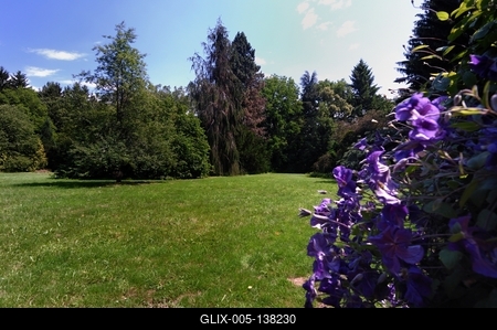 Sárvári arborétum-stock-foto