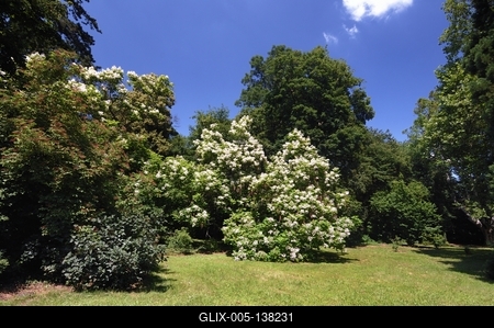 Sárvári arborétum-stock-foto