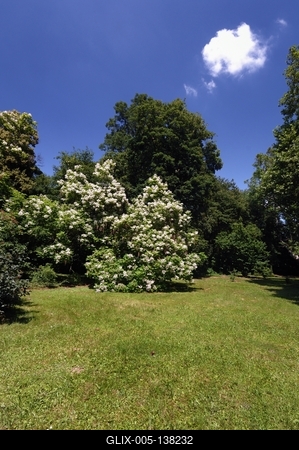 Sárvári arborétum-stock-foto