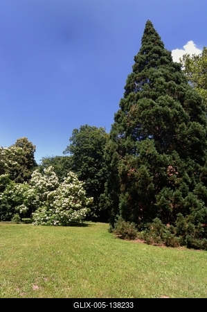 Sárvári arborétum-stock-foto