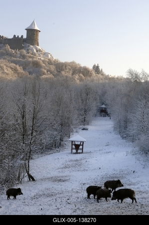 Somoskői Vadaspark-stock-foto