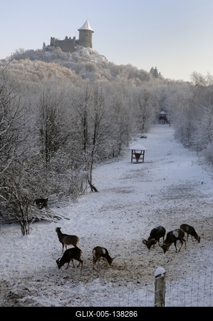 Somoskői Vadaspark-stock-foto