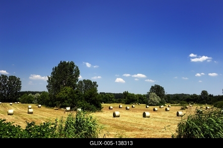 Láprét Fertőrákoson-stock-foto