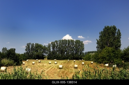 Láprét Fertőrákoson-stock-foto