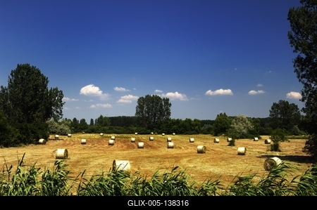 Láprét Fertőrákoson-stock-foto