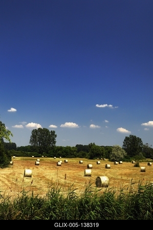 Láprét Fertőrákoson-stock-foto