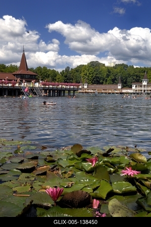 Hévízi Tófürdő-stock-foto