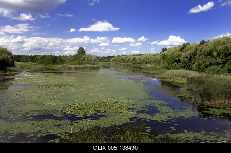 A Kis-Balaton látképe Zalaváron-stock-foto