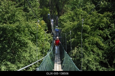 Lombsétány Ipolytarnócon-stock-foto