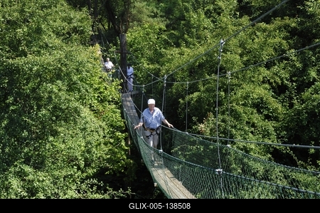 Lombsétány Ipolytarnócon-stock-foto