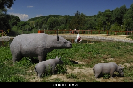 Tanösvény Ipolytarnócon-stock-foto