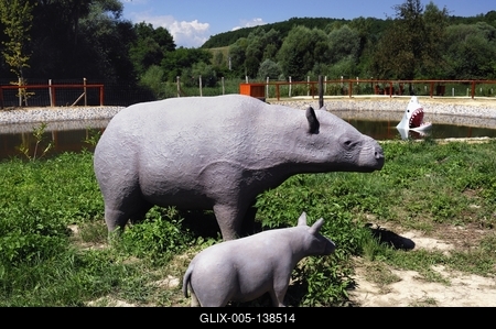 Tanösvény Ipolytarnócon-stock-foto