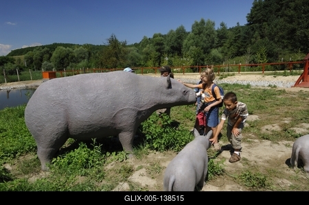 Tanösvény Ipolytarnócon-stock-foto