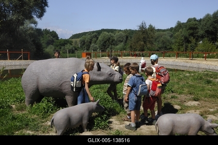 Tanösvény Ipolytarnócon-stock-foto
