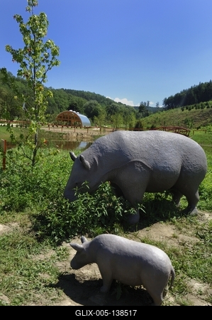 Tanösvény Ipolytarnócon-stock-foto