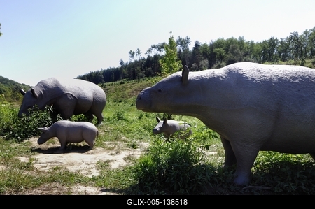 Tanösvény Ipolytarnócon-stock-foto