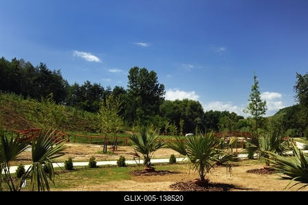 Tanösvény Ipolytarnócon-stock-foto