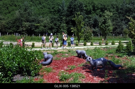 Tanösvény Ipolytarnócon-stock-foto