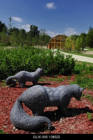 Tanösvény Ipolytarnócon-stock-foto