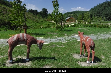 Tanösvény Ipolytarnócon-stock-foto